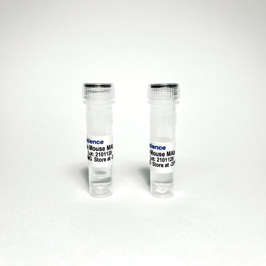 Monoclonal Anti-human transferrin antibody.