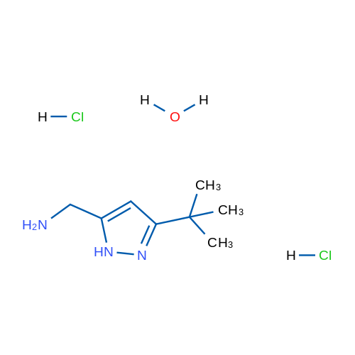 (3-(tert-Butyl)-1H-pyrazol-5-yl)methanamine dihydrochloride hydrate 1g