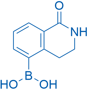 (1-Oxo-1,2,3,4-tetrahydroisoquinolin-5-yl)boronic acid 100mg