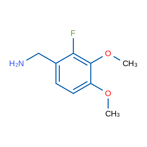 (2-Fluoro-3,4-dimethoxyphenyl)methanamine 1g