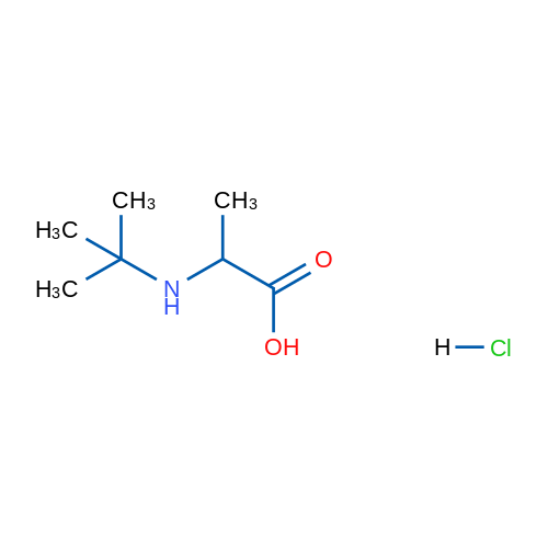 2-(tert-butylamino)propanoic acid hydrochloride 1g