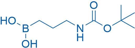 (3-((tert-Butoxycarbonyl)amino)propyl)boronic acid 5g
