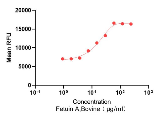 GMP Recombinant Bovine Fetuin A