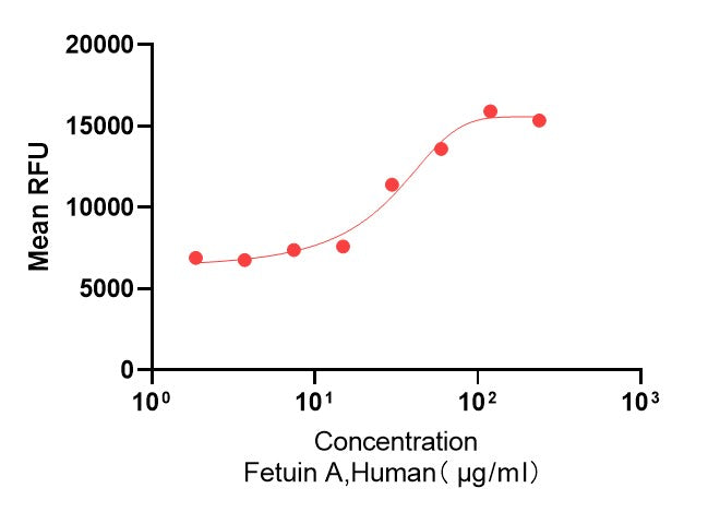 GMP Recombinant Human Fetuin A