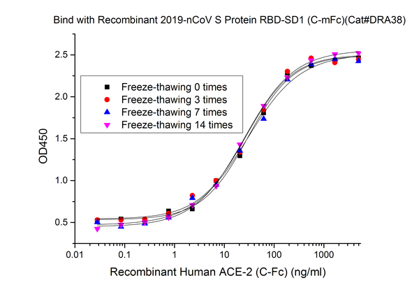 Recombinant Human ACE-2 (C-Fc)