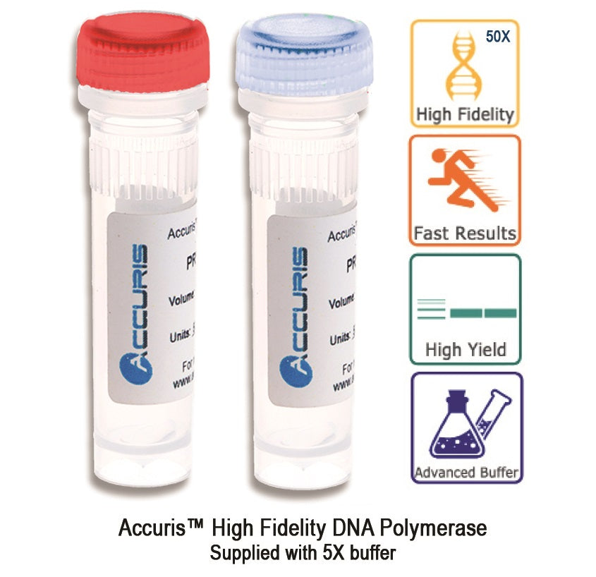 Accuris High Fidelity DNA Polymerase, sample, 20 units