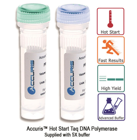 Accuris Hot Start Taq, 1000 units