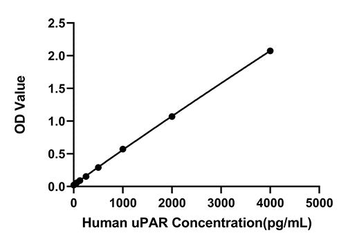 Rabbit anti-Human uPAR mAb(CAP)