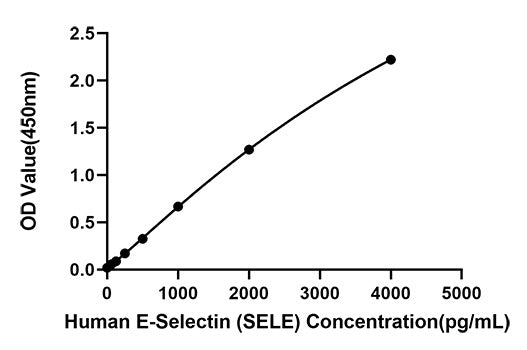 Rabbit anti-Human E-Selectin (SELE) mAb(CAP)