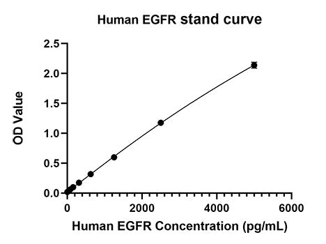 Rabbit anti-Human EGFR mAb(CAP)