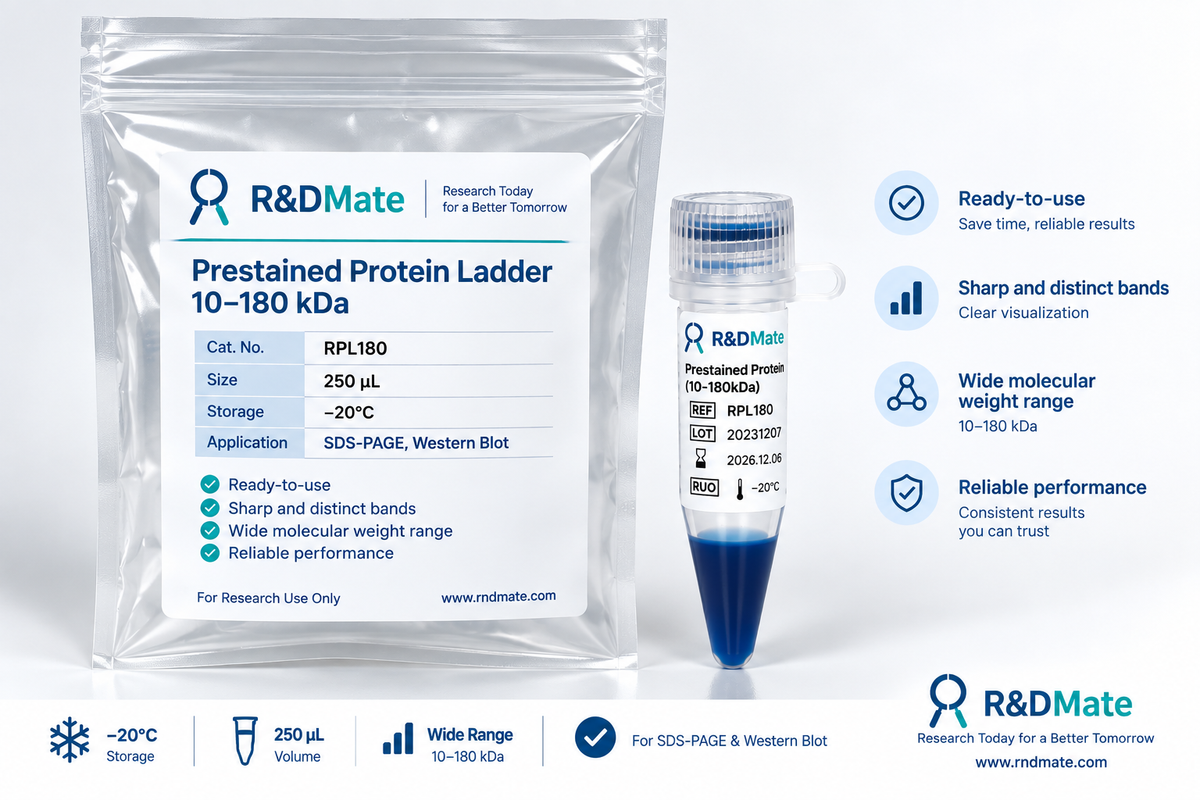 RPL180 Prestained Protein Ladder, 10–180 kDa, 250 μL