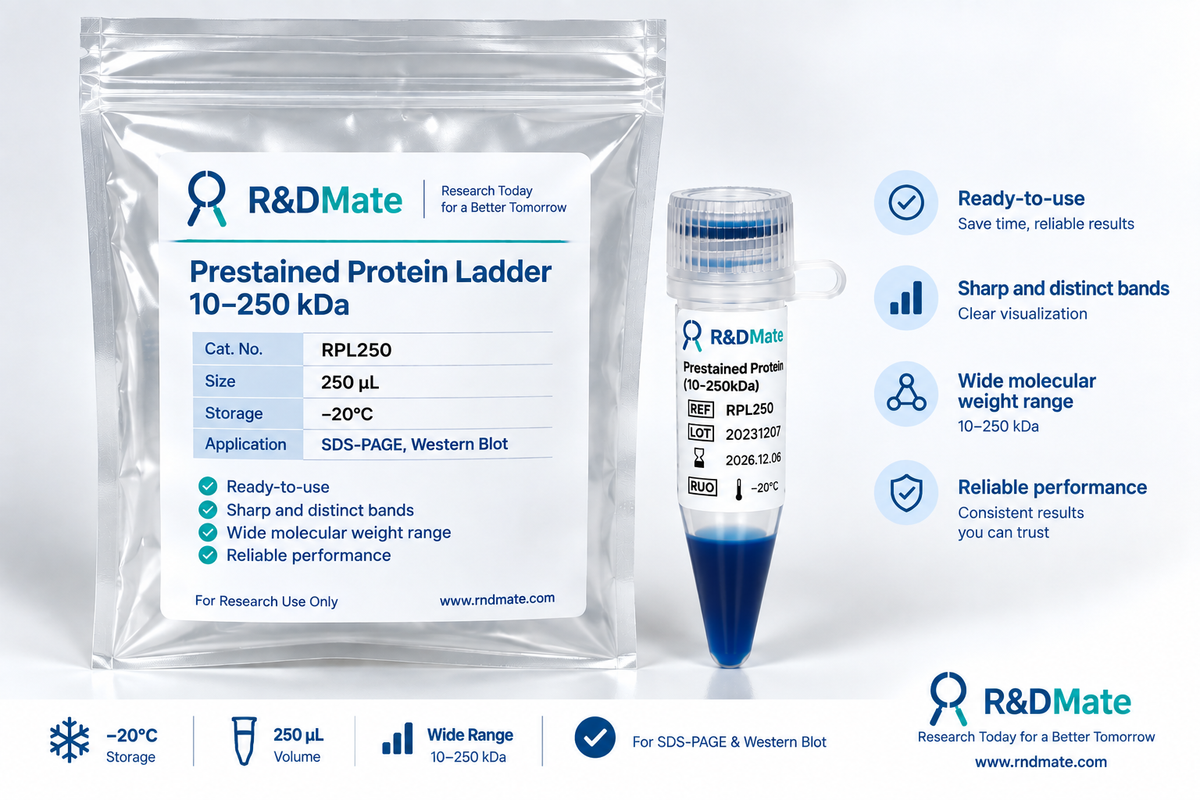 RPL250 Prestained Protein Ladder, 10–250 kDa, 250 μL