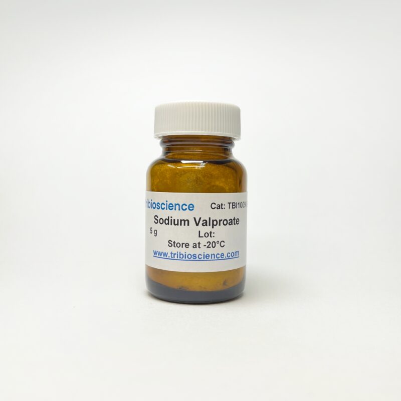 Sodium valproate, HDAC inhibitor