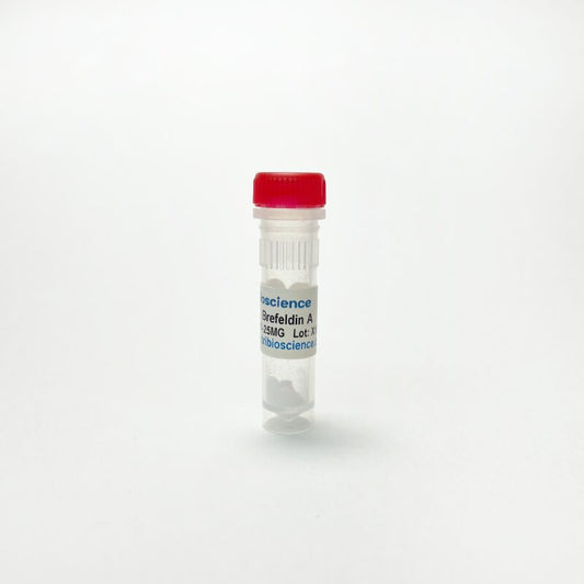 Brefeldin A, Inhibits intracellular transport