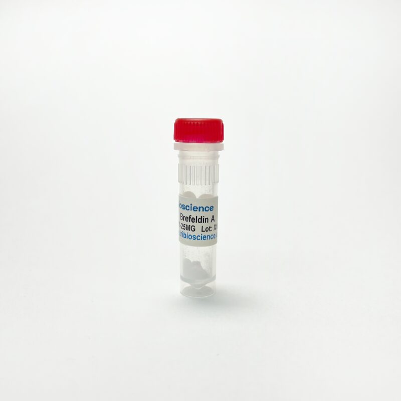 Brefeldin A, Inhibits intracellular transport