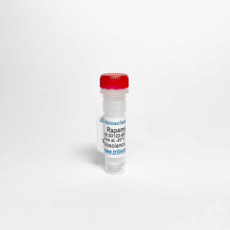 Rapamycin, mTOR inhibitor