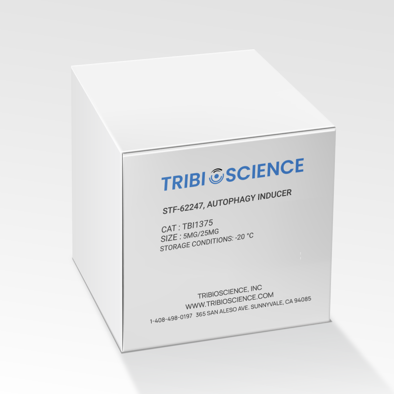 STF-62247, Autophagy inducer