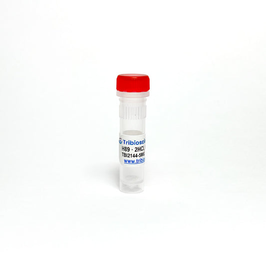 H89 · 2HCl, PKA inhibitor