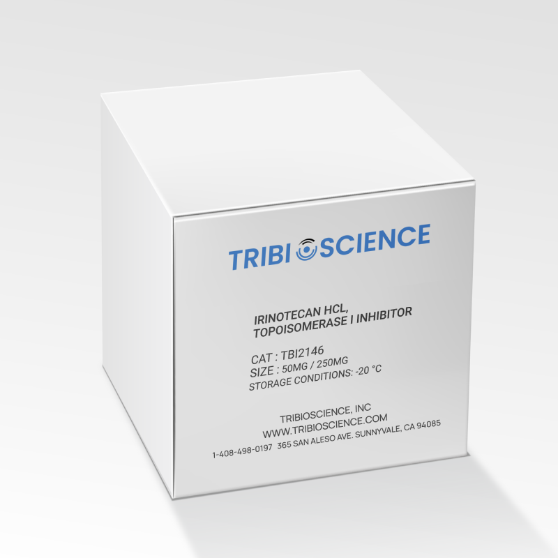 Irinotecan HCl, Topoisomerase I inhibitor