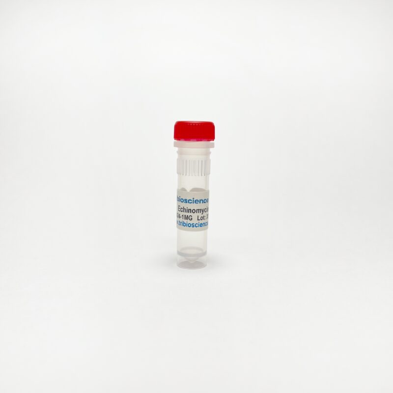 Echinomycin, HIF-1a inhibitor