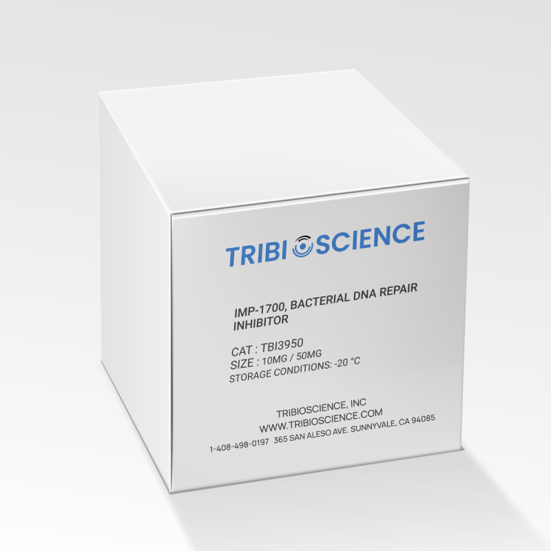 IMP-1700, Bacterial DNA repair inhibitor