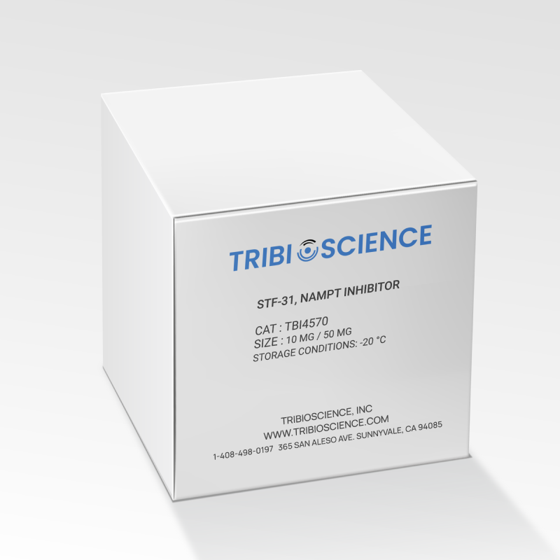 STF-31, NAMPT inhibitor