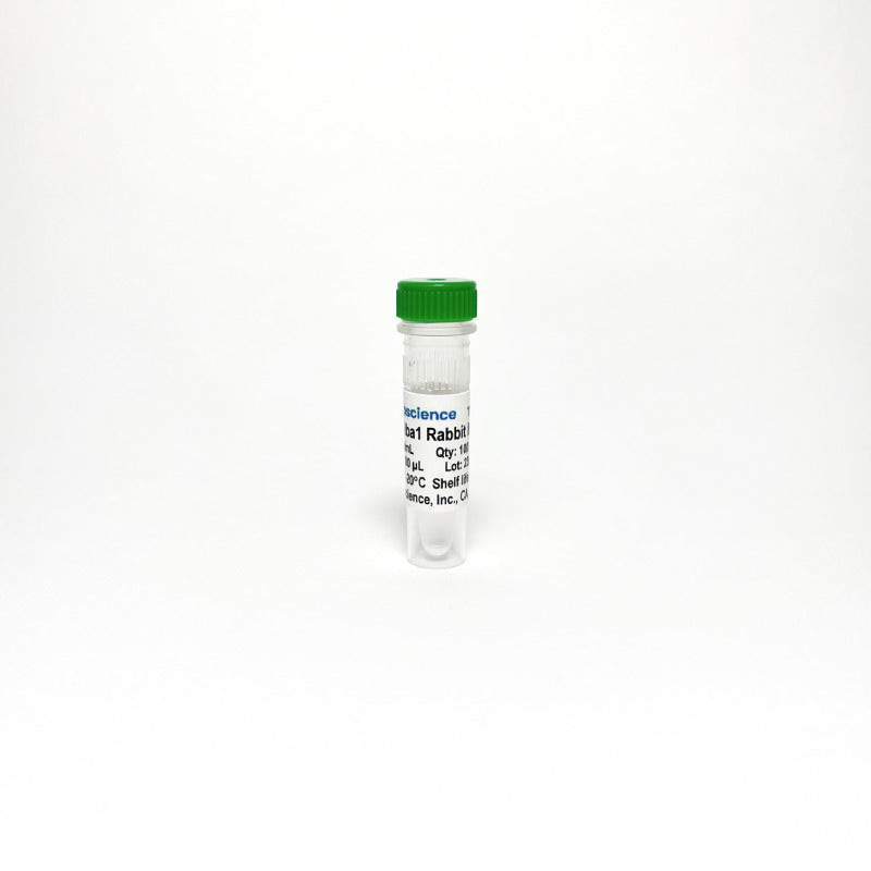 Anti-Iba1 Antibody Monoclonal Antibody