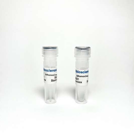 SP1 Rabbit Monoclonal Antibody (TBS10254) - 100 uL