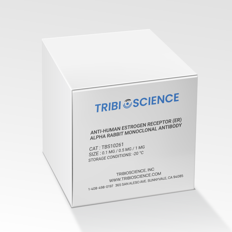Anti-Human Estrogen Receptor (ER) Alpha Rabbit Monoclonal Antibody (TBS10261) - 0.5 MG