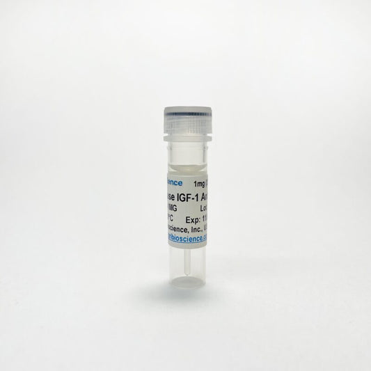 Anti-Mouse IGF-1 Monoclonal Antibody (TBS10303) - 1 MG