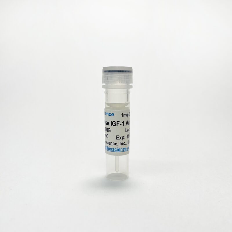 Anti-Mouse IGF-1 Monoclonal Antibody (TBS10303) - 0.5 MG