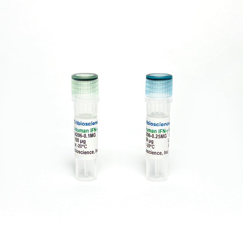 Monoclonal Antibody to Human IFN-Gamma, Biotin