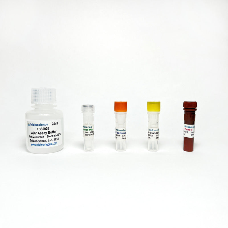 ADP Colorimetric/Fluorometric Assay Kit