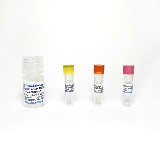 Acridine Orange-Propidium Iodide (AO-PI) Stain