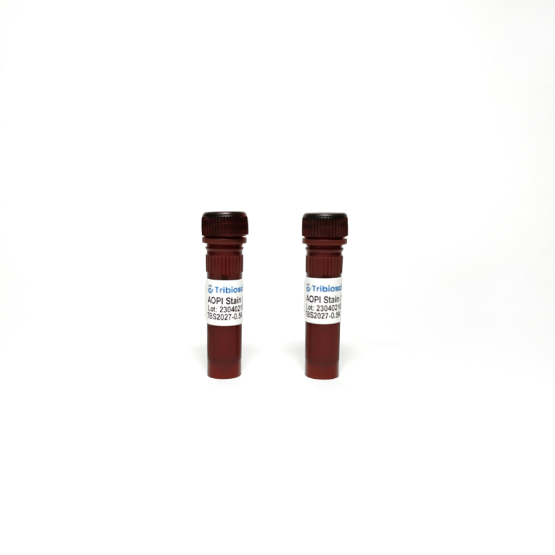 Acridine Orange-Propidium Iodide (AO-PI) Stain