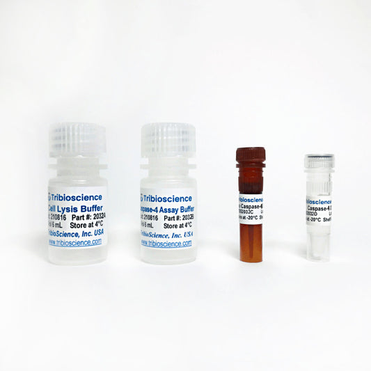 Caspase-4 Fluorometric Assay Kit