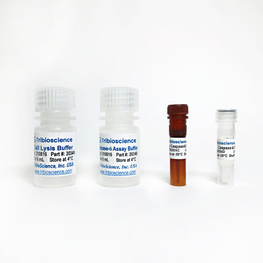Caspase-6 Fluorometric Assay Kit