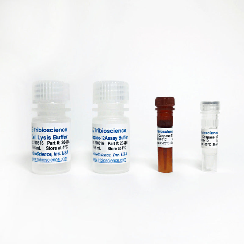 Caspase-12 Fluorometric Assay Kit