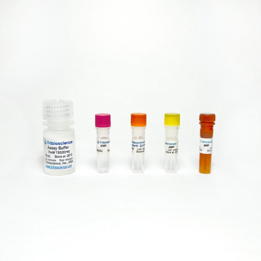 AMP Colorimetric Assay
