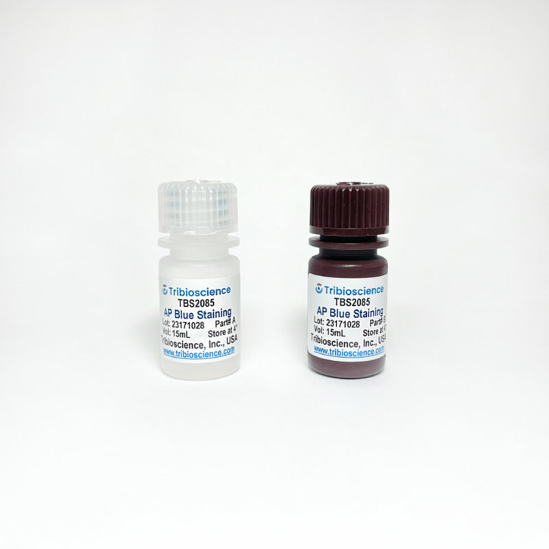 Alkaline Phosphatase Blue Staining kit