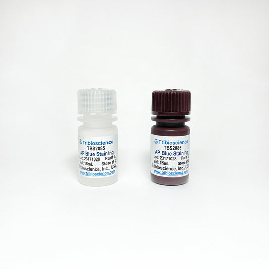 Alkaline Phosphatase Blue Staining kit