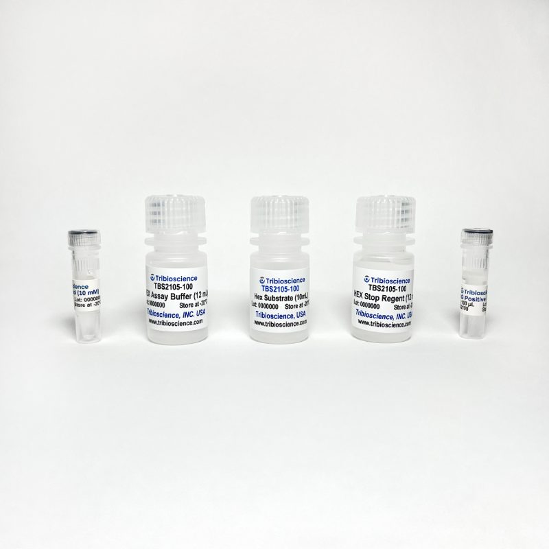 Beta-N-Acetylglucosaminidase (Beta-NAG) Activity Colorimetric Assay Kit