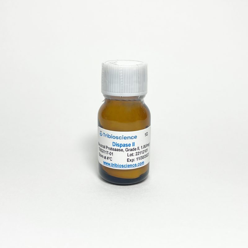 Dispase II (Neutral Protease, Grade II)