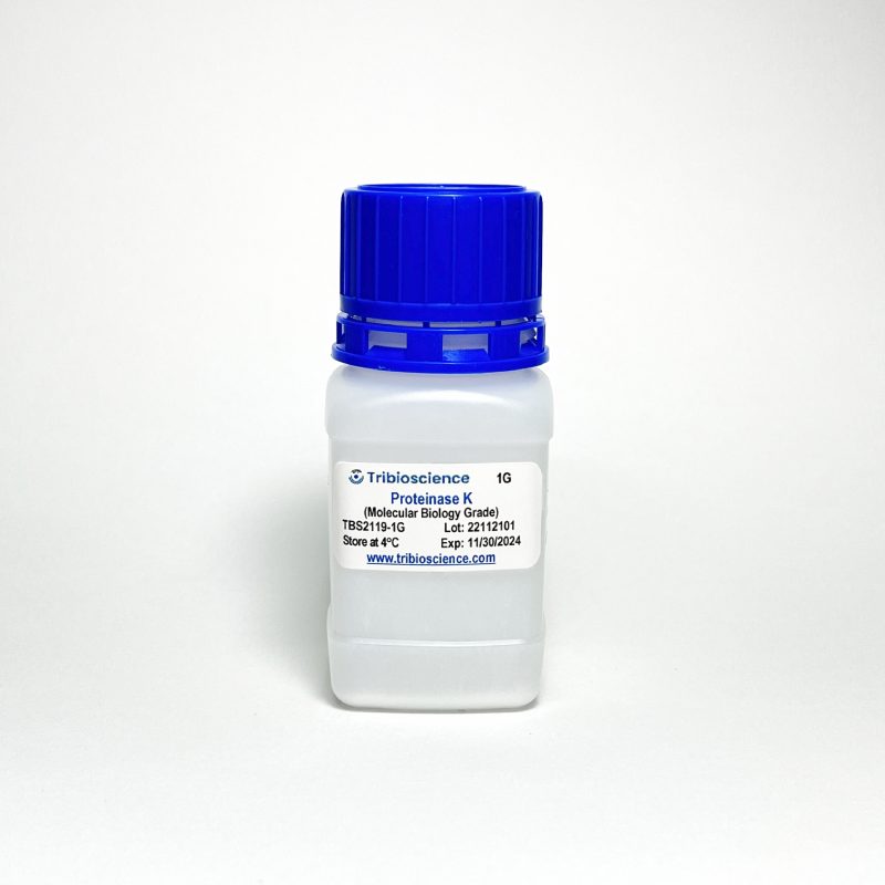 Proteinase K, Lyophilized Powder, Molecular Biology Grade