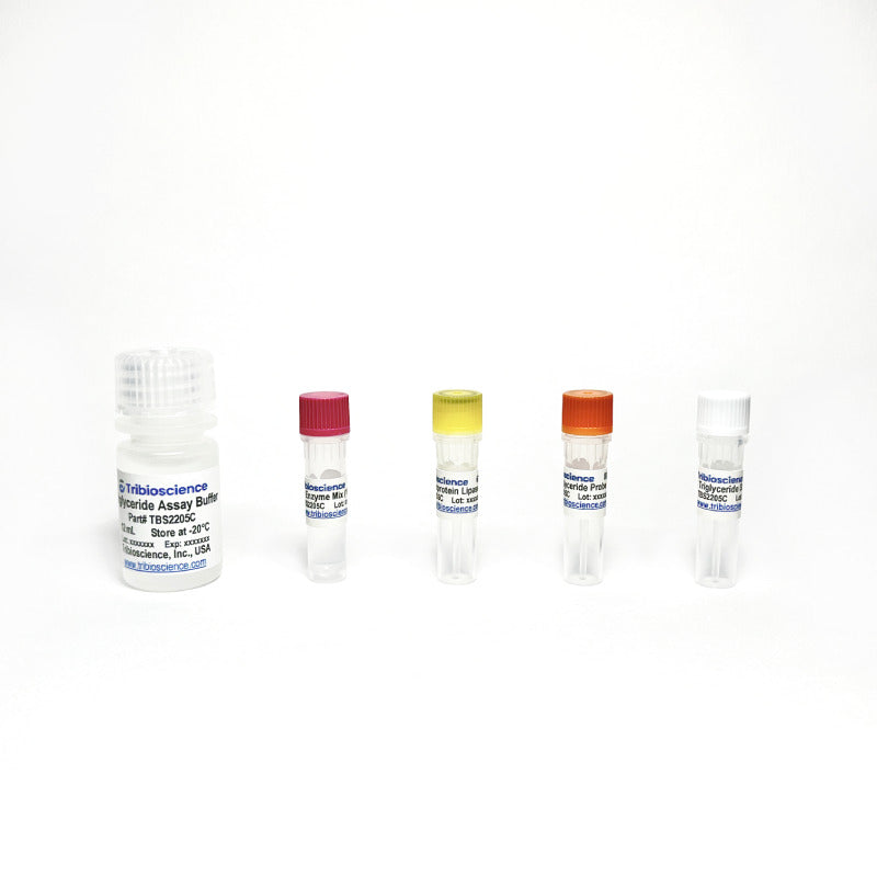 Triglyceride Colorimetric Assay Kit