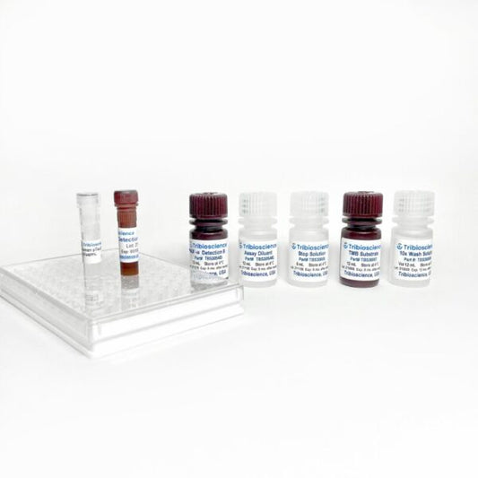 Rat TNF-alpha ELISA Kit