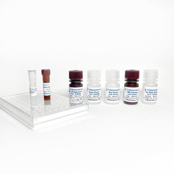 Rat IL-1β ELISA Kit