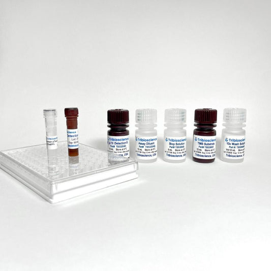 Human IL-12; ELISA; 1 step and 1hr.