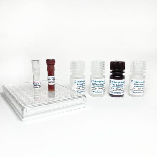 Human 7-DHC ELISA