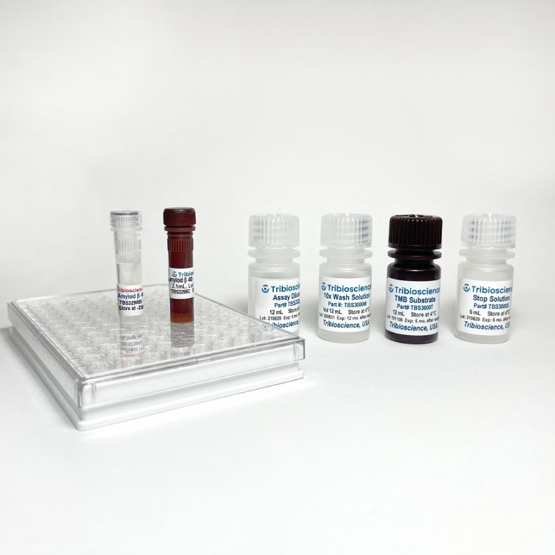 Fast Human Amyloid β 40 /Aβ40 ELISA
